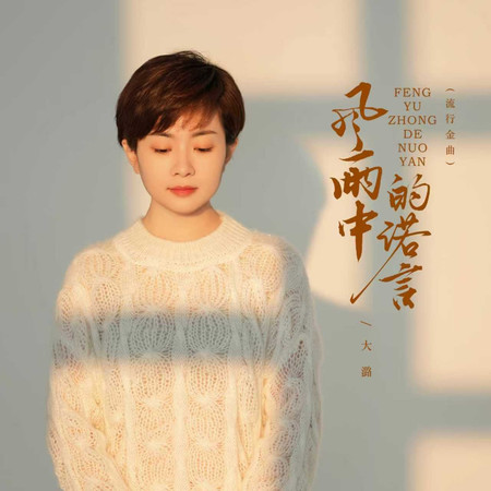 風雨中的諾言(風雨金曲舞動版)