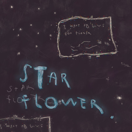 star flower