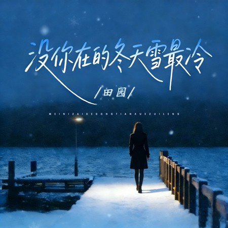 没你在的冬天雪最冷