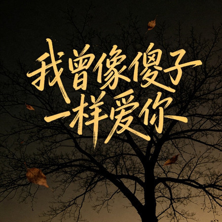 我曾像傻子一樣愛你