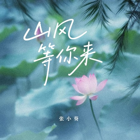 山风等你来