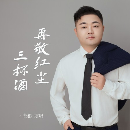 再敬红尘三杯酒