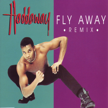 Fly Away (Remixes)