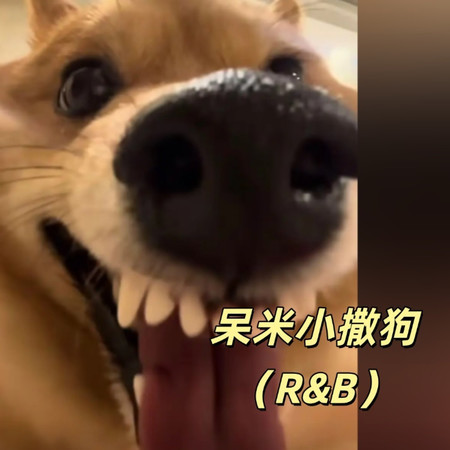 呆米小撒狗（R&B）