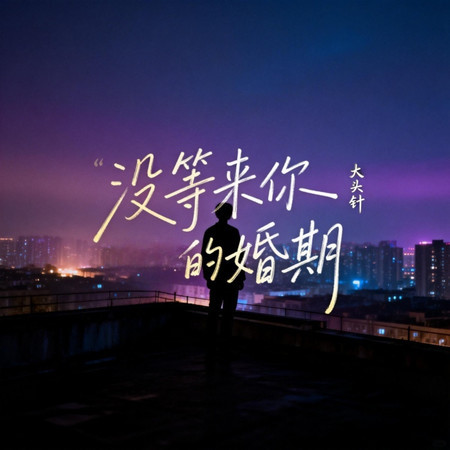 沒等來你的婚期（心碎版）