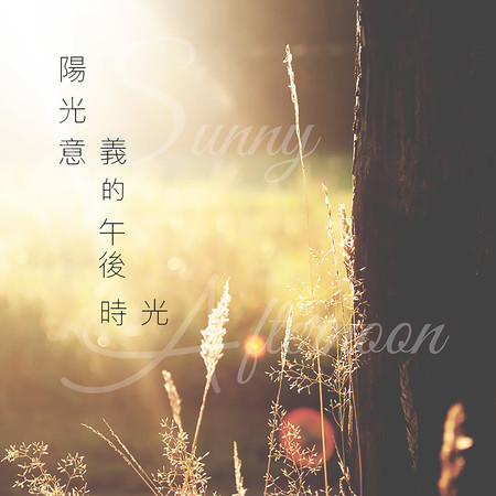 陽光意義的午後時光