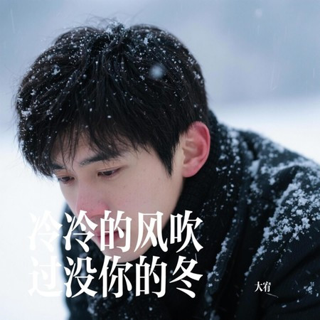 冷冷的風吹過沒你的冬