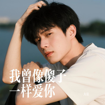 我曾像傻子一樣愛你