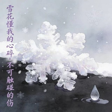 雪花懂我的心碎