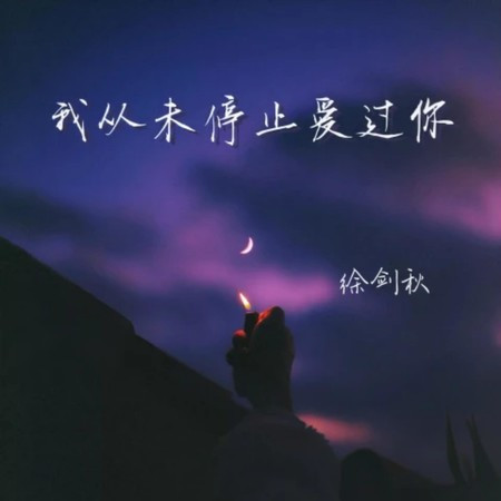 我從未停止愛過你