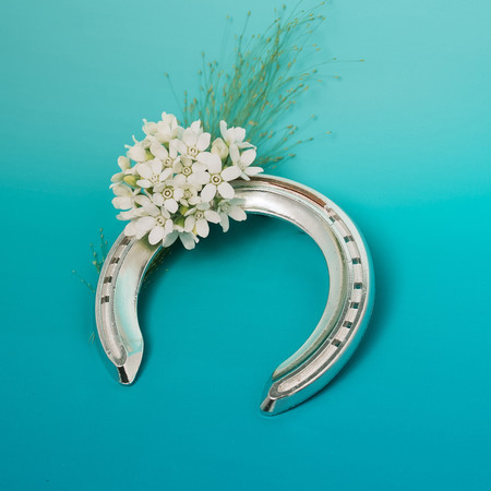 下等馬（Half-acoustic Ver.）