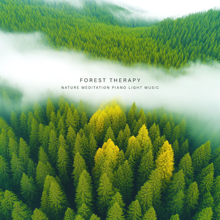 森林療癒 大自然冥想鋼琴輕音樂 (Forest Therapy Nature Meditation Piano Light Music)