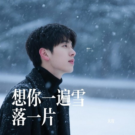 想你一遍雪落一片