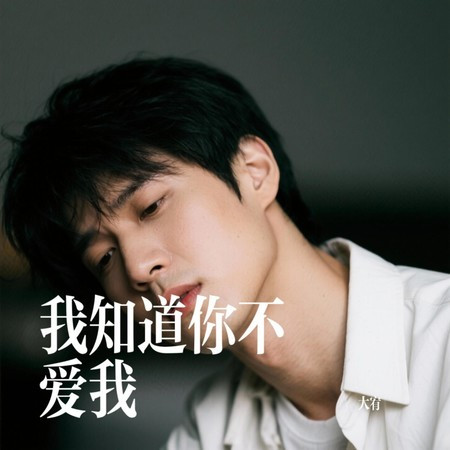 我知道你不愛我