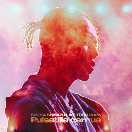 SHOTA SHIMIZU LIVE TOUR 2025 'Pulsatilla cernua'