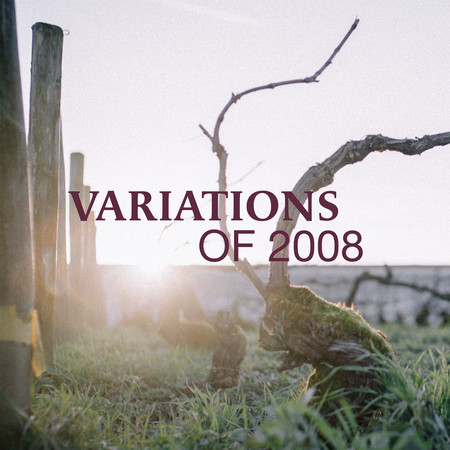 Variations of 2008