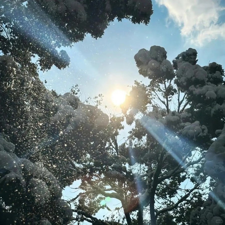 讓我一次愛個夠(R&B版）