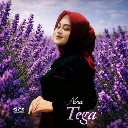 Tega