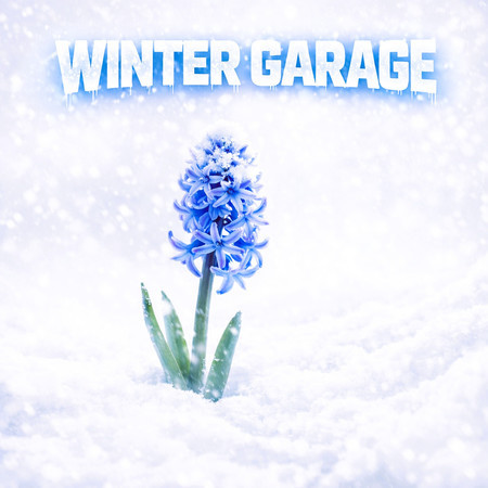 Winter Garage