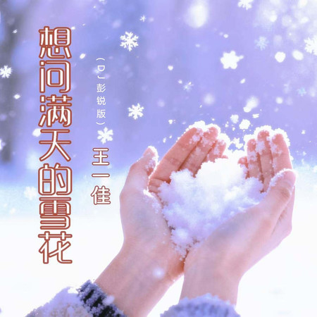 想問滿天的雪花(DJ彭銳版)