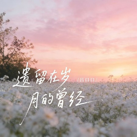 遺留在歲月的曾經