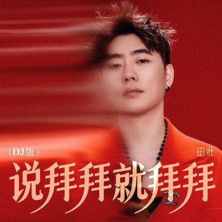說拜拜就拜拜（DJ版）