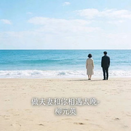 做夫妻和你相遇太晚 (煙嗓版)