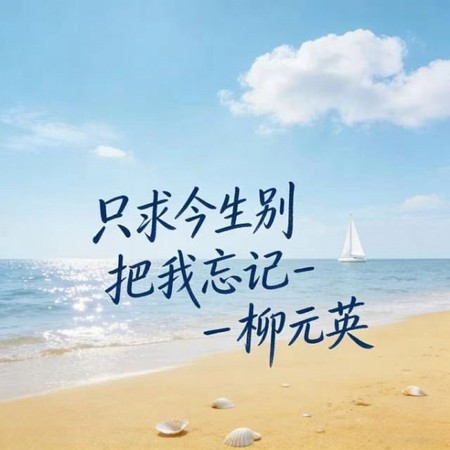 只求今生別把我忘記 (DJ涵涵版)