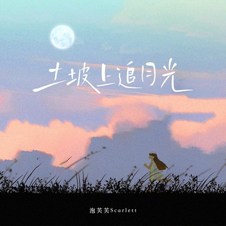 土坡上追月光