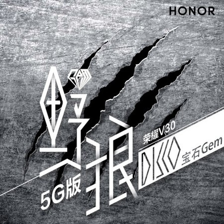 野狼disco (榮耀V30 5G版)