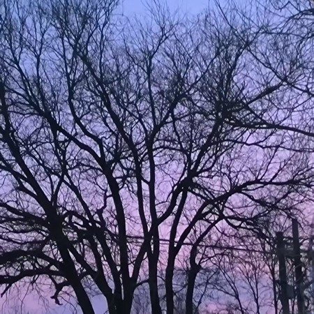 紫色天空