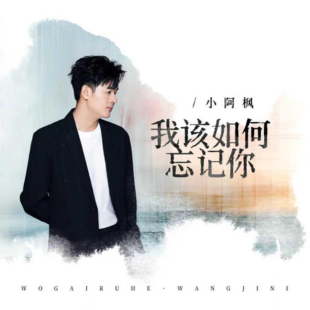 我該如何忘記你