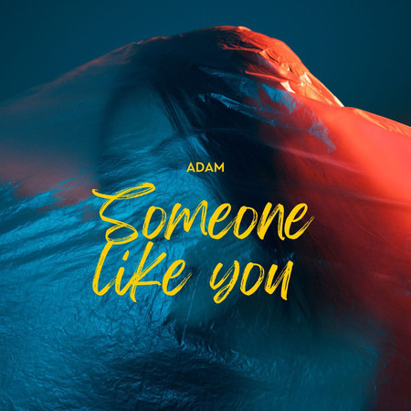 Someone like you