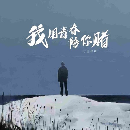 我用青春陪你賭