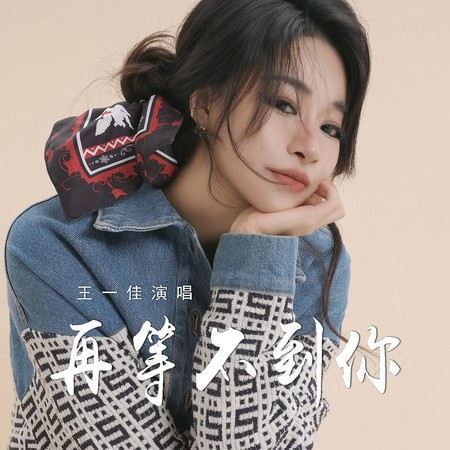 再等不到你 (伴奏)