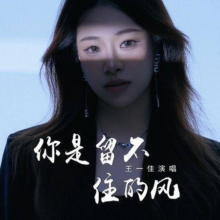 你是留不住的風 (伴奏)