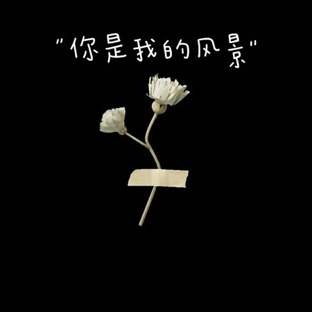 你是我的風景 (Zy變速版)