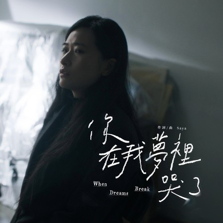 你在我夢裡哭了