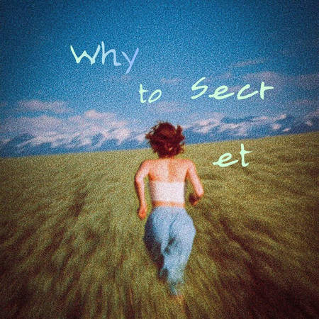 Why to Secret