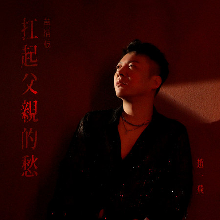 扛起父親的愁（DJ版）