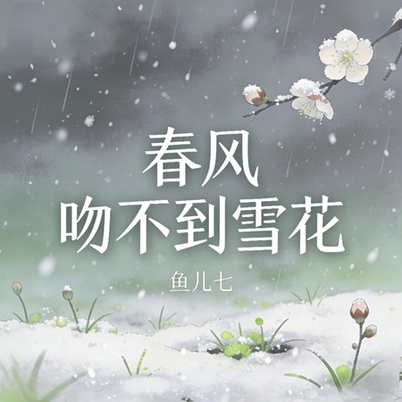 春風吻不到雪花