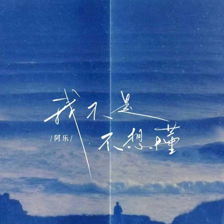 我不是不想懂