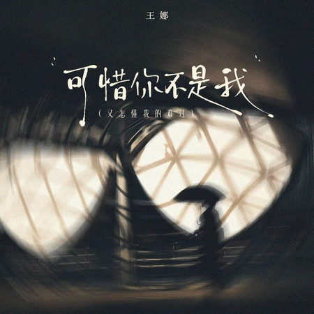 可惜你不是我(又怎懂我的難過)