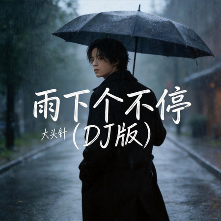雨下個不停（DJ版）
