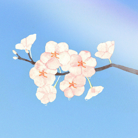 專輯封面