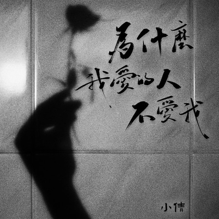 為什麼我愛的人不愛我