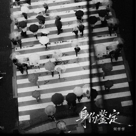 身份鑒定