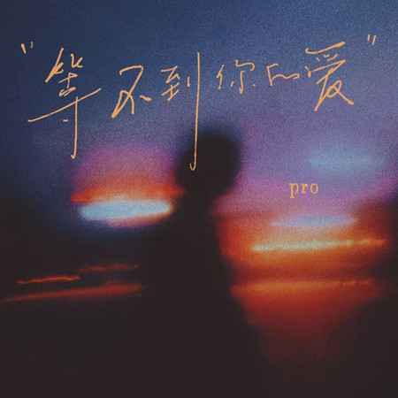 等不到你的愛