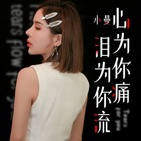 心為你痛淚為你流 (DJheap九天版)