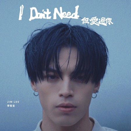 I Don't Need 但愛過你